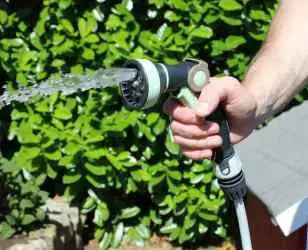 Gartenbewässerung im Sommer