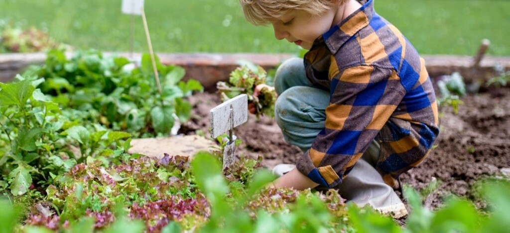Kind hockt im Gemüsebeet