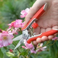 Mini Gartenschere 4